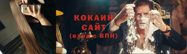 МДПВ Карпинск