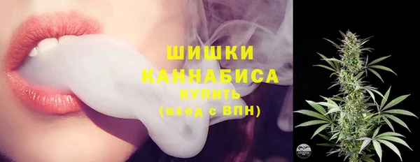 МДПВ Карпинск