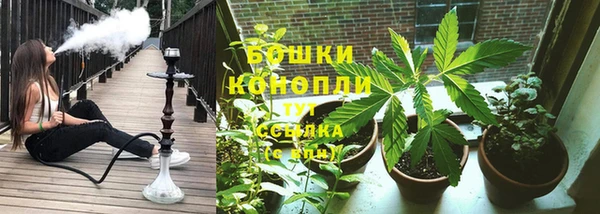 PSILOCYBIN Киренск