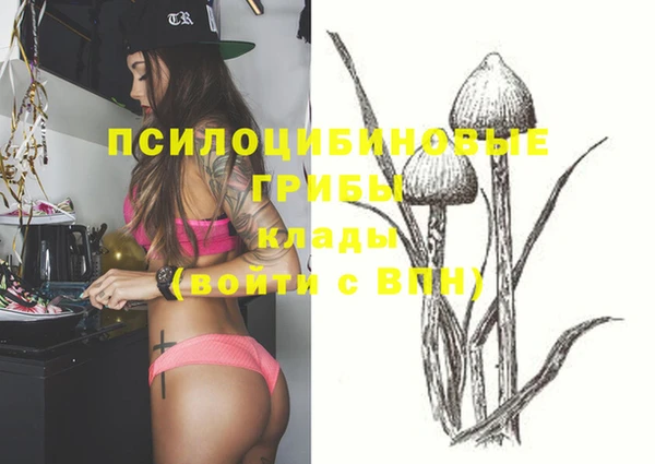 гашишное масло Касимов