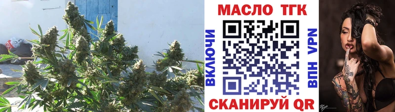 Купить где  Ишим  Дистиллят ТГК THC oil 