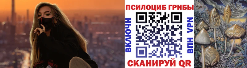 Купить  Ишим  Галлюциногенные грибы мухоморы 